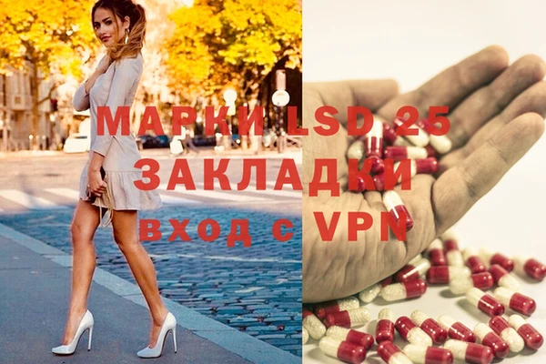 гидропоника Гусиноозёрск