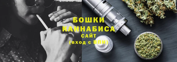 гидропоника Гусиноозёрск