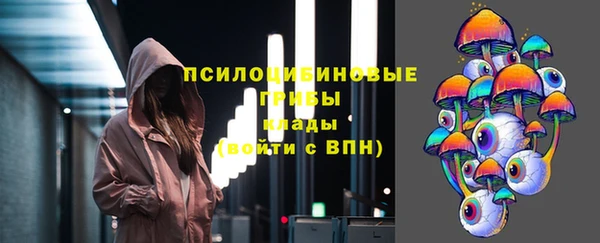 прущие крисы Гусь-Хрустальный