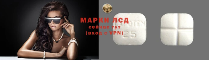 mdpv Гусев