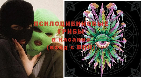 mdpv Гусев