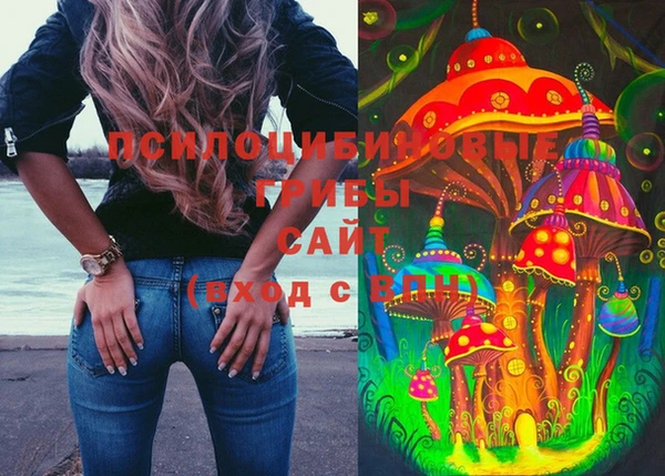 mdpv Гусев