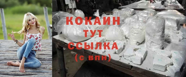 гидропоника Гусиноозёрск