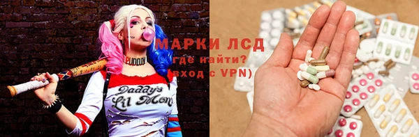 гидропоника Гусиноозёрск